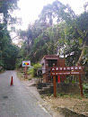 Tai Po Kau Nature Reserve Entrance