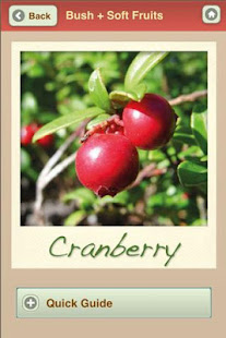 Growing Your Own Organic Fruit(圖2)-速報App