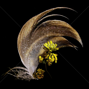 *** by Jurijs Ratanins - Artistic Objects Still Life