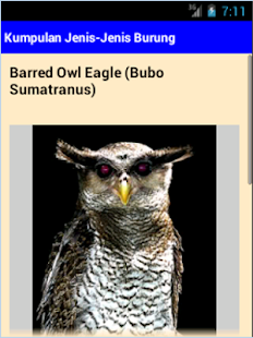 How to mod Jenis-jenis Burung patch 1.0.1 apk for pc