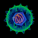 HCV-Edge logo