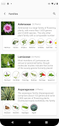 Herbs Encyclopedia 8