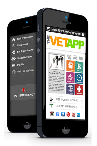 THE VET APP