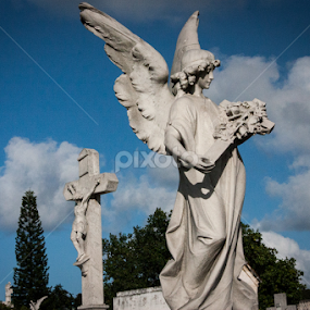 Necropolis parade by Elsie Nisonen - Buildings & Architecture Statues & Monuments
