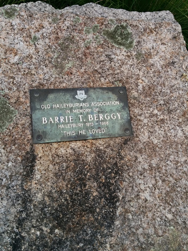 Berggy's Stone