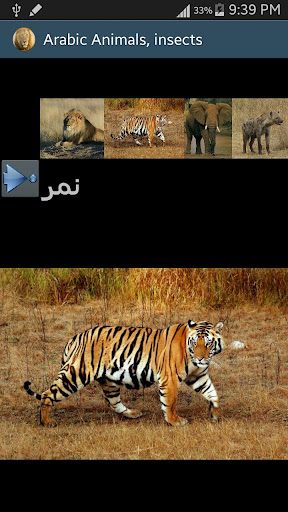 【免費教育App】Arabic Picture animals-APP點子