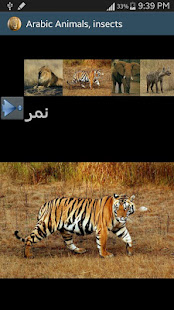 Arabic Picture animals(圖2)-速報App