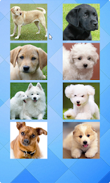 Dogs Puzzle poster 1
