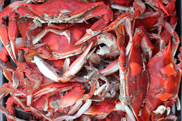 Classic Steamed Blue Crabs