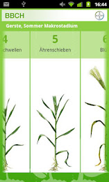 BBCH-Bestimmer poster 3