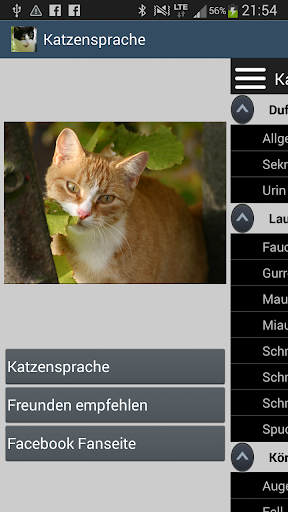 Katzensprache