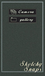 Sketchy Snaps Premium poster 1