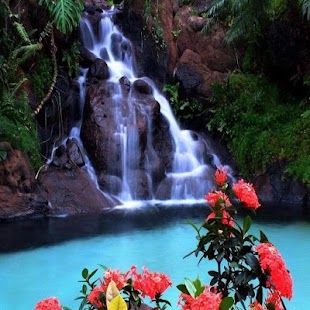 Download Waterfall wallpapers APK for Android