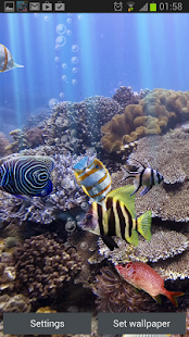 真正的水族馆HD(圖3)-速報App