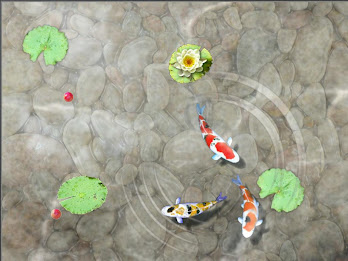Feed the Koi fish Kids Game poster 4