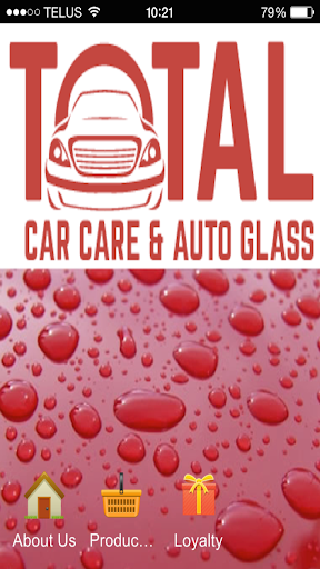 Total Car Care Auto Glass