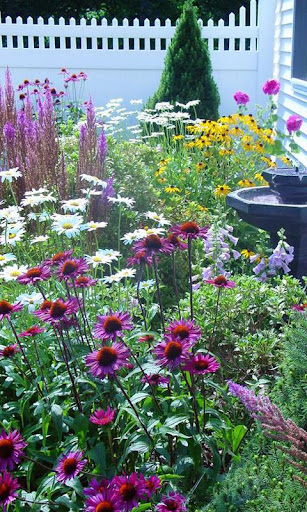 Flower Garden Ideas