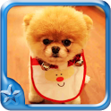 Talking Puppy icon