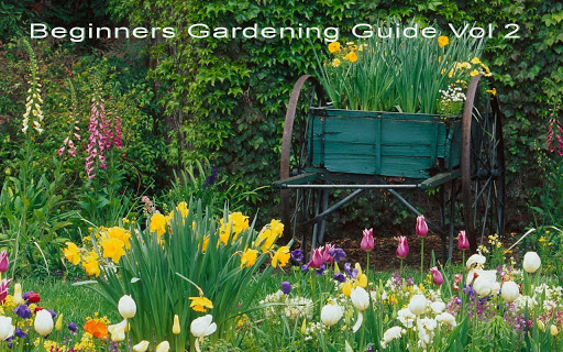 Beginners Gardening Guide Vol2