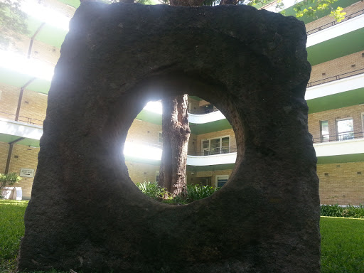 Tree Through Stone