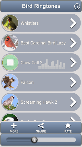 Bird Ringtones