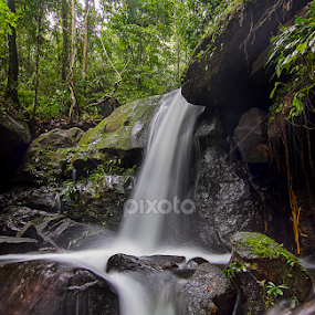 The flow of life. by Victor Sim - Landscapes Waterscapes
