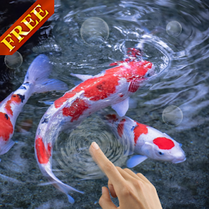 Download Koi Fish 3D Live Wallpaper Google Play softwares 