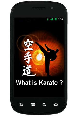 What is Karate