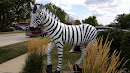 Zebra Statue