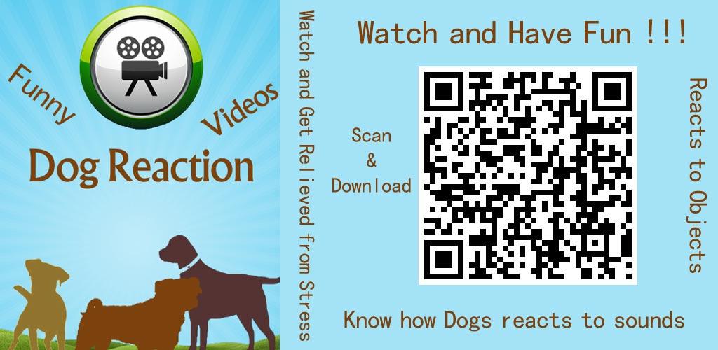Dog Reaction Videos - Latest version for Android - Download APK