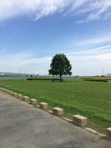 Portal - リバーサイドパーク 筑後川大堰上流広場 遊具広場