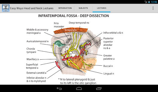 Easy Ways Head, Neck and Limbs(圖4)-速報App