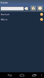 Kur'an na bosanskom poster 1