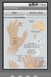 Picturing MEDICINE Screenshots 7