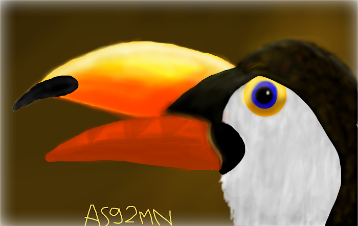 BBB (Big Beak Bird)