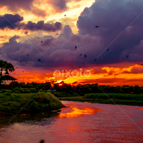 Village sunset by Mrinmoy Dalabar - Landscapes Sunsets & Sunrises
