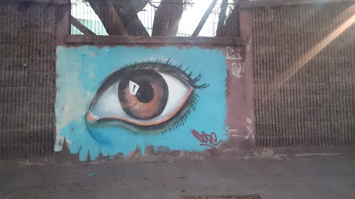 Beautiful Eye Graffiti