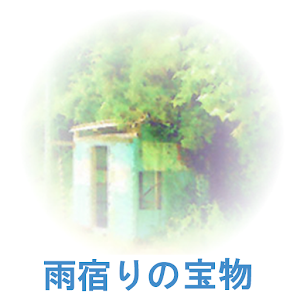雨宿りの宝物 1.0.4
