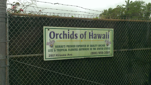 Orchids Of Hawaii 