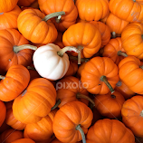 Stand Out by Bridget Wegrzyn -  