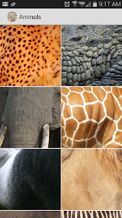 Free Download Animal Sounds For Toddlers APK