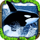 Orca Simulator