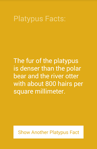 Platypus Facts