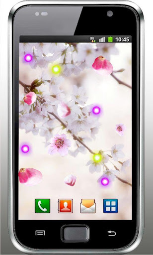 Sakura Photo live wallpaper