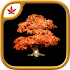 Fire Maple Games Collection1.0.8 (Paid)