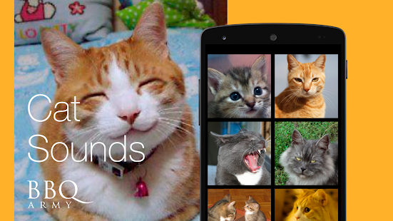 Cat Sounds for Cat