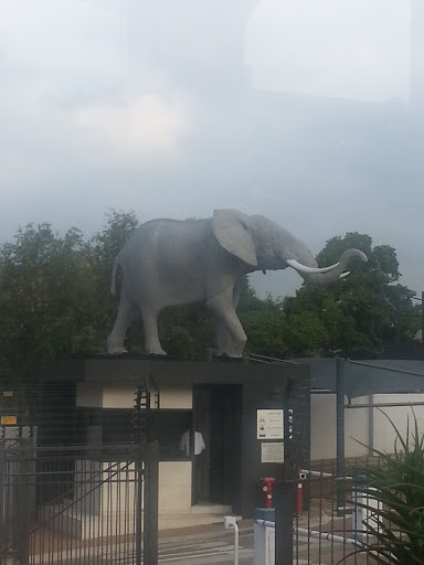 PPC Elephant 
