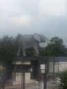 PPC Elephant 