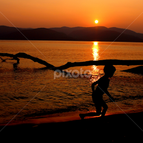 HOME CALLING  by Tarunjyoti Tewari - Landscapes Waterscapes