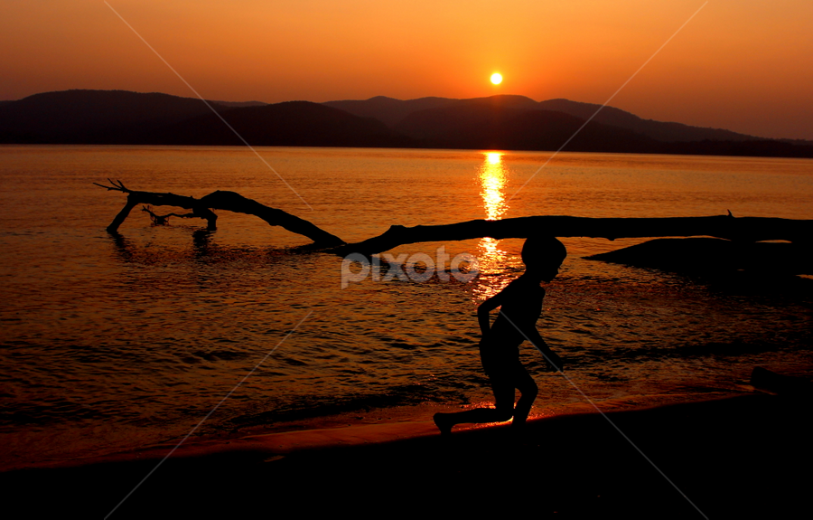 HOME CALLING  by Tarunjyoti Tewari - Landscapes Waterscapes